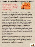 /album/recetas-de-los-productos-de-temporada/boniatos-1-jpg/